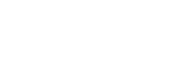 Logo Bridge Markets